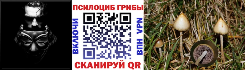 Галлюциногенные грибы MAGIC MUSHROOMS  Заречный 