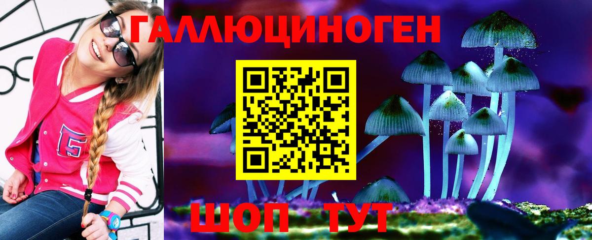 Галлюциногенные грибы Magic Shrooms Заречный