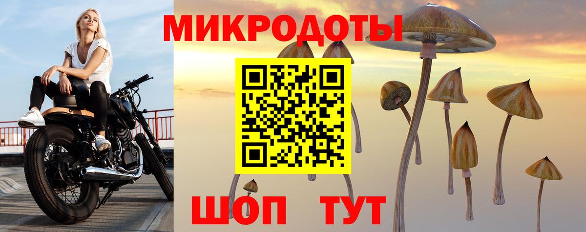 Заречный  Псилоцибиновые грибы Magic Shrooms  Вход с VPN 